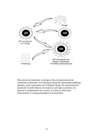 41
Mecanismo de adsorción. La droga se fija a las proteínas de la
membrana eritrocitaria. Si el paciente desarrolla anticuerpos antidroga
potentes, éstos reaccionan con el fármaco fijado. En consecuencia la
prueba de Coombs Directa con reactivos anti-IgG es positiva. En
general el complemento no se activa y la lisis es sobre todo
extravascular. La droga prototípica es la penicilina.
 
