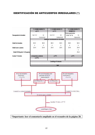 65
IDENTIFICACIÓN DE ANTICUERPOS IRREGULARES (*)
*Importante: leer el comentario ampliado en el recuadro de la página 28.
 