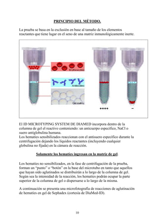 10
PRINCIPIO DEL MÉTODO.
La prueba se basa en la exclusión en base al tamaño de los elementos
reactantes que tiene lugar en el seno de una matriz inmunológicamente inerte.
El ID MICROTYPING SYSTEM DE DIAMED incorpora dentro de la
columna de gel el reactivo conteniendo: un anticuerpo específico, NaCl o
suero antiglobulina humana.
Los hematíes sensibilizados reaccionan con el antisuero específico durante la
centrifugación dejando los líquidos reactantes (incluyendo cualquier
globulina no fijada) en la cámara de reacción.
Solamente los hematíes ingresan en la matriz de gel.
Los hematíes no sensibilizados, en la fase de centrifugación de la prueba,
forman un “punto” o “botón” en la base del microtubo en tanto que aquellos
que hayan sido aglutinados se distribuirán a lo largo de la columna de gel.
Según sea la intensidad de la reacción, los hematíes podrán ocupar la parte
superior de la columna de gel o dispersarse a lo largo de la misma.
A continuación se presenta una microfotografía de reacciones de aglutinación
de hematíes en gel de Sephadex (cortesía de DiaMed-ID).
 