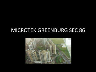 MICROTEK GREENBURG SEC 86 
 