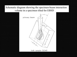 16
Schematic diagram showing the specimen-beam interaction
volume in a specimen tilted for EBSD
 