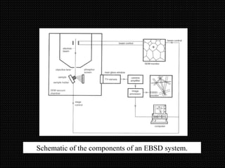 19
Schematic of the components of an EBSD system.
 