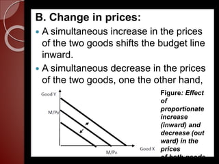 Micro Theory of Consumer Behavior and Demand.pptx