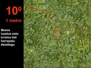 Besoa
luzatuz osto
erramu bat
harrapatu
dezakegu
100
1 metro
 