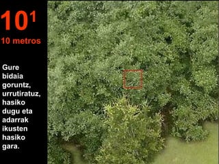 Gure
bidaia
goruntz,
urrutiratuz,
hasiko
dugu eta
adarrak
ikusten
hasiko
gara.
101
10 metros
 