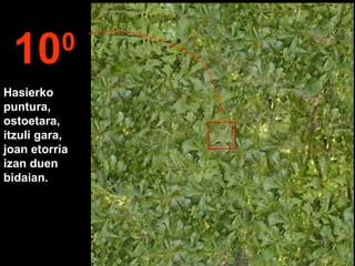 Hasierko
puntura,
ostoetara,
itzuli gara,
joan etorria
izan duen
bidaian.
100
 