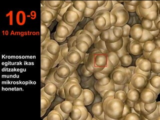Kromosomen
egiturak ikas
ditzakegu
mundu
mikroskopiko
honetan.
10-9
10 Amgstron
 