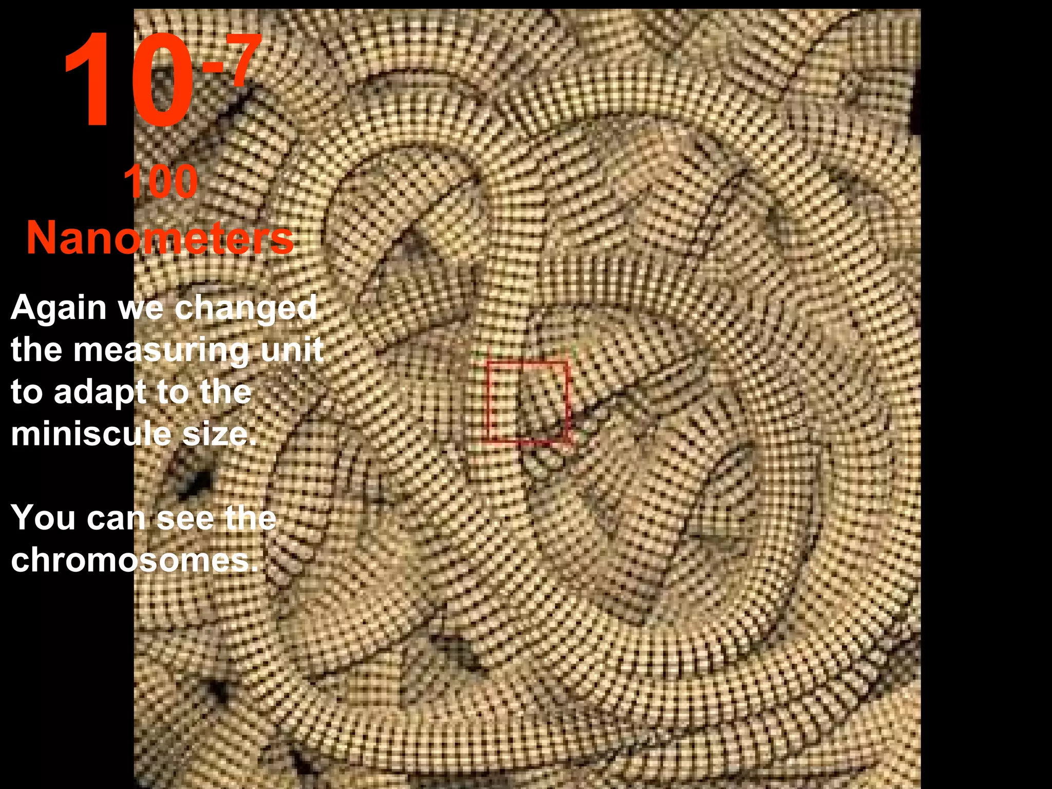 Again we changed the measuring unit to adapt to the miniscule size.  You can see the chromosomes. 10 -7 100 Nanometers 