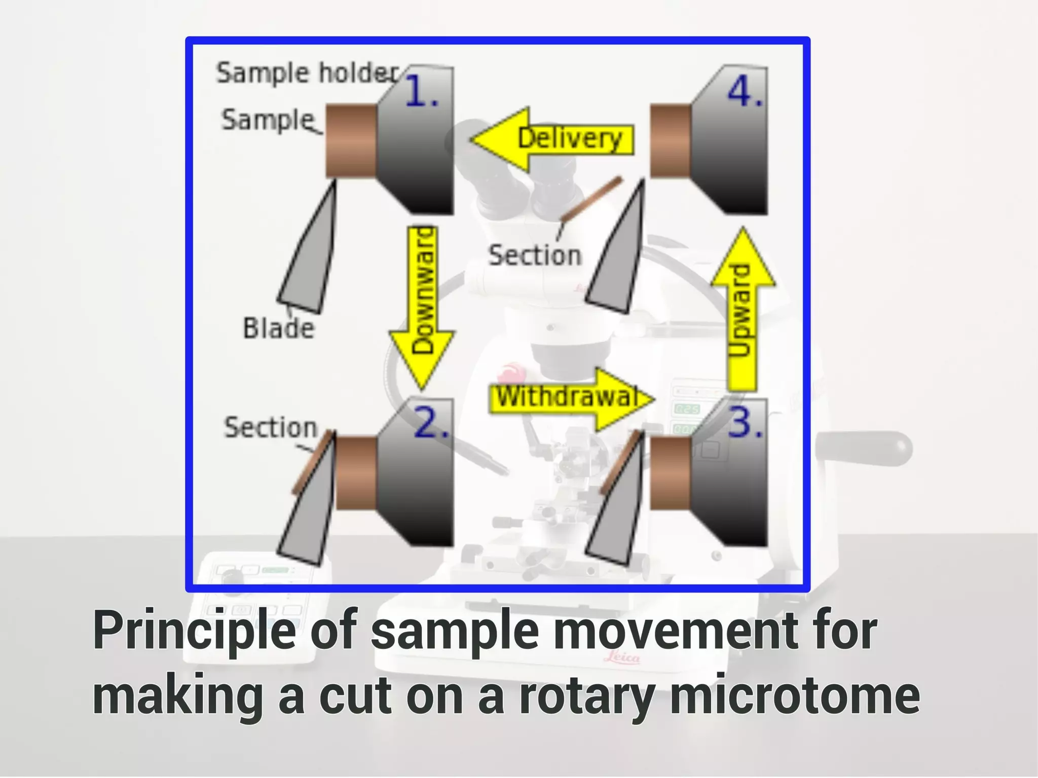 Microtome