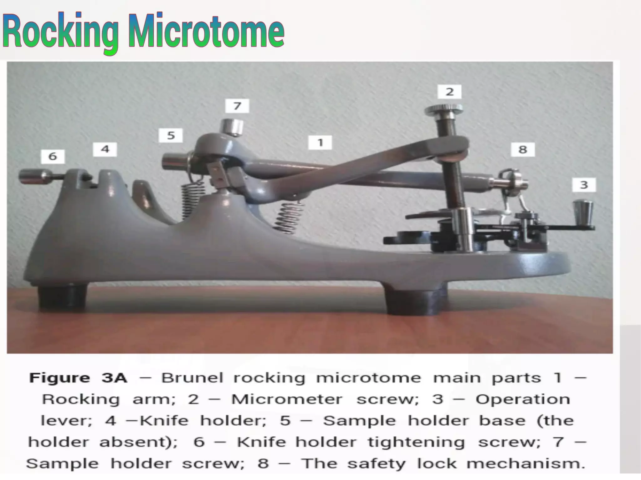 Microtome