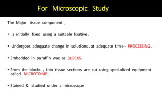For Microscopic Study
The Major tissue component ,
• Is initially fixed using a suitable fixative .
• Undergoes adequate change in solutions , at adequate time - PROCESSING .
• Embedded in paraffin wax as BLOCKS .
• From the blocks , thin tissue sections are cut using specialized equipment
called MICROTOME .
• Stained & studied under a microscope
 
