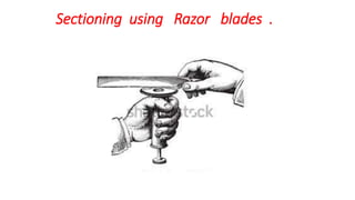 Sectioning using Razor blades .
 