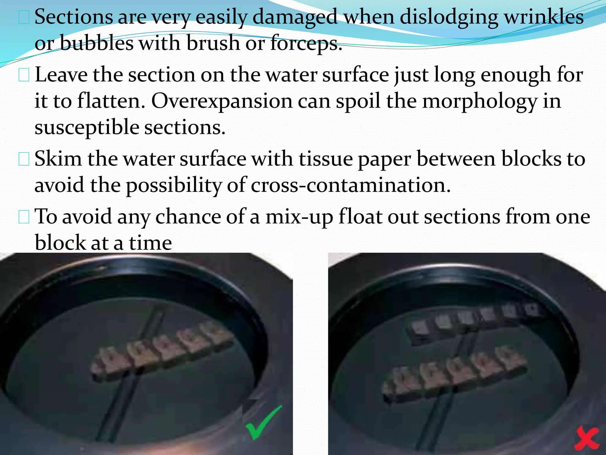 Sections are very easily damaged when dislodging wrinkles
or bubbles with brush or forceps.
Leave the section on the water surface just long enough for
it to flatten. Overexpansion can spoil the morphology in
susceptible sections.
Skim the water surface with tissue paper between blocks to
avoid the possibility of cross-contamination.
To avoid any chance of a mix-up float out sections from one
block at a time
 