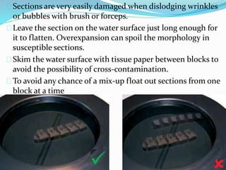 Sections are very easily damaged when dislodging wrinkles
or bubbles with brush or forceps.
Leave the section on the water surface just long enough for
it to flatten. Overexpansion can spoil the morphology in
susceptible sections.
Skim the water surface with tissue paper between blocks to
avoid the possibility of cross-contamination.
To avoid any chance of a mix-up float out sections from one
block at a time
 