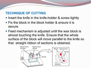 TECHNIQUE OF CUTTING
 Insert the knife in the knife-holder & screw tightly
 Fix the block in the block holder & ensure it is
secure.
 Feed mechanism is adjusted until the wax block is
almost touching the knife. Ensure that the whole
surface of the block will move parallel to the knife so
that straight ribbon of sections is obtained.
 