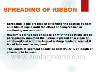 Microtomy: Techniques and Procedures for Tissue Sectioning | PPTX