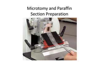 Microtomy and Paraffin
Section Preparation
 