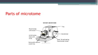 Parts of microtome
 