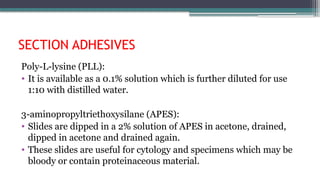 SECTION ADHESIVES
Poly-L-lysine (PLL):
• It is available as a 0.1% solution which is further diluted for use
1:10 with distilled water.
3-aminopropyltriethoxysilane (APES):
• Slides are dipped in a 2% solution of APES in acetone, drained,
dipped in acetone and drained again.
• These slides are useful for cytology and specimens which may be
bloody or contain proteinaceous material.
 