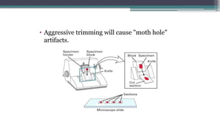 • Aggressive trimming will cause "moth hole"
artifacts.
 
