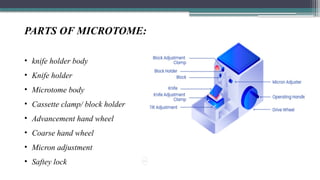 PARTS OF MICROTOME:
• knife holder body
• Knife holder
• Microtome body
• Cassette clamp/ block holder
• Advancement hand wheel
• Coarse hand wheel
• Micron adjustment
• Saftey lock
 