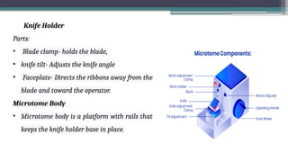 Knife Holder
Parts:
• Blade clamp- holds the blade,
• knife tilt- Adjusts the knife angle
• Faceplate- Directs the ribbons away from the
blade and toward the operator.
Microtome Body
• Microtome body is a platform with rails that
keeps the knife holder base in place.
 