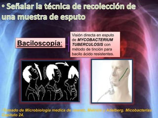 Baciloscopía:
Visión directa en esputo
de MYCOBACTERIUM
TUBERCULOSIS con
método de tinción para
bacilo ácido resistentes.
•Tomado de Microbiología medica de Jawetz, Melnick y Adelberg. Micobacterias
Capitulo 24.
 