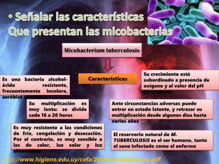 CaracterísticasEs una bacteria alcohol-
ácido resistente,
frecuentemente incolora,
aeróbica estricta.
Su crecimiento está
subordinado a presencia de
oxígeno y al valor del pH
circundante
Es muy resistente a las condiciones
de frío, congelación y desecación.
Por el contrario, es muy sensible a
las de calor, luz solar y luz
ultravioleta
Su multiplicación es
muy lenta: se divide
cada 16 a 20 horas
Ante circunstancias adversas puede
entrar en estado latente, y retrasar su
multiplicación desde algunos días hasta
varios años
El reservorio natural de M.
TUBERCULOSIS es el ser humano, tanto
el sano infectado como el enfermo
•http://www.higiene.edu.uy/cefa/2008/micobacterias.pdf
 