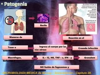 Toser o
estornudar
Reacción en el
cuerpo.
Bacilo
Maneras de
contagio.
Creando infección
Ingresa al cuerpo por las
vías aéreas
Granulom
a
IL – 12, NK, TNF – a, IFN - yMacrófagos,
linfocitos T
• MICROBIOLOGÍA MÉDICA de Murray – Sexta Edición – Capitulo 28.
NO fusión de fagosomas y
lisosomas
 