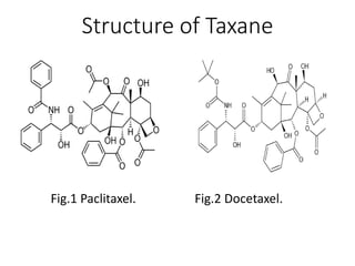 Microtubule inhibiting drugs | PPTX