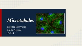 Microtubules 
Essence Perry and 
Emily Agreda 
B-2/4 
 