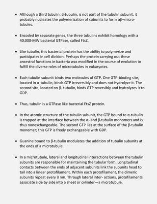  Although a third tubulin, ȣ-tubulin, is not part of the tubulin subunit, it
probably nucleates the polymerization of subunits to form αβ–micro-
tubules.
 Encoded by separate genes, the three tubulins exhibit homology with a
40,000-MW bacterial GTPase, called FtsZ.
 Like tubulin, this bacterial protein has the ability to polymerize and
participates in cell division. Perhaps the protein carrying out these
ancestral functions in bacteria was modified in the course of evolution to
fulfill the diverse roles of microtubules in eukaryotes.
 Each tubulin subunit binds two molecules of GTP. One GTP-binding site,
located in α-tubulin, binds GTP irreversibly and does not hydrolyze it. The
second site, located on β- tubulin, binds GTP reversibly and hydrolyzes it to
GDP.
 Thus, tubulin is a GTPase like bacterial FtsZ protein.
 In the atomic structure of the tubulin subunit, the GTP bound to α-tubulin
is trapped at the interface between the α- and β-tubulin monomers and is
thus nonexchangeable. The second GTP lies at the surface of the β-tubulin
monomer; this GTP is freely exchangeable with GDP.
 Guanine bound to β-tubulin modulates the addition of tubulin subunits at
the ends of a microtubule.
 In a microtubule, lateral and longitudinal interactions between the tubulin
subunits are responsible for maintaining the tubular form. Longitudinal
contacts between the ends of adjacent subunits link the subunits head to
tail into a linear protofilament. Within each protofilament, the dimeric
subunits repeat every 8 nm. Through lateral inter- actions, protofilaments
associate side by side into a sheet or cylinder—a microtubule.
 
