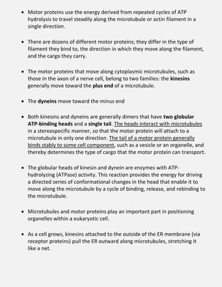  Motor proteins use the energy derived from repeated cycles of ATP
hydrolysis to travel steadily along the microtubule or actin filament in a
single direction.
 There are dozens of different motor proteins; they differ in the type of
filament they bind to, the direction in which they move along the filament,
and the cargo they carry.
 The motor proteins that move along cytoplasmic microtubules, such as
those in the axon of a nerve cell, belong to two families: the kinesins
generally move toward the plus end of a microtubule.
 The dyneins move toward the minus end
 Both kinesins and dyneins are generally dimers that have two globular
ATP-binding heads and a single tail. The heads interact with microtubules
in a stereospecific manner, so that the motor protein will attach to a
microtubule in only one direction. The tail of a motor protein generally
binds stably to some cell component, such as a vesicle or an organelle, and
thereby determines the type of cargo that the motor protein can transport.
 The globular heads of kinesin and dynein are enzymes with ATP-
hydrolyzing (ATPase) activity. This reaction provides the energy for driving
a directed series of conformational changes in the head that enable it to
move along the microtubule by a cycle of binding, release, and rebinding to
the microtubule.
 Microtubules and motor proteins play an important part in positioning
organelles within a eukaryotic cell.
 As a cell grows, kinesins attached to the outside of the ER membrane (via
receptor proteins) pull the ER outward along microtubules, stretching it
like a net.
 