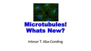 Microtubules!
Whats New?
Intesar T. Aba-Conding
 