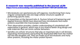 A research was recently published in the journal eLife
https://www.sciencedaily.com/releases/2016/01/160128122350.htm
• Microtubules can spontaneously self-organize, transforming from many
singular components into one large cellular structure capable of
performing specific tasks.
• A researchers at the Harvard John A. Paulson School of Engineering and
Applied Sciences (SEAS) have observed how microtubules and motor
proteins assemble into macroscopic networks.
• Their observation provides a better understanding of cytoskeletal self-
organization in general, which may in turn lead to better drug design and
new materials that can mimic cellular behaviors.
• Spindles are cellular structures that play an important role in cell division,
separating chromosomes and pulling the duplicated DNA from the mother
cell into the daughter cell. They are made up of microtubules and many
other proteins, including the motor protein dynein.
 