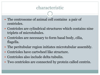 characteristic
 The centrosome of animal cell contains a pair of
centrioles.
 Centrioles are cylindrical structures which contains nine
triplets of microtubules.
 Centrioles are necessary to form basal body, cilia,
flagella.
 The peritubular region initiates microtubular assembly.
 Centrioles have cartwheel like structure.
 Centrioles also include delta tubulin.
 Two centrioles are connected by protein called centrin.
 