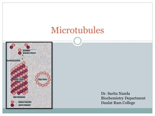 Microtubules
Dr. Sarita Nanda
Biochemistry Department
Daulat Ram College
 