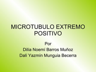 MICROTUBULO EXTREMO POSITIVO Por Dilía Noemí Barros Muñoz Dalí Yazmín Munguia Becerra 
