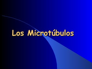 Los Microtúbulos 