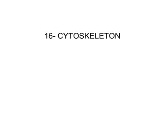 16- CYTOSKELETON
 
