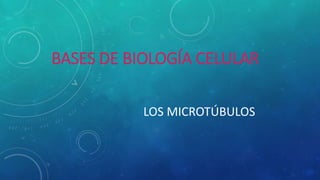 BASES DE BIOLOGÍA CELULAR
LOS MICROTÚBULOS
 