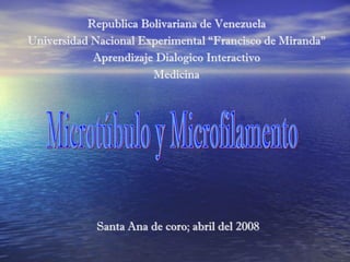 Republica Bolivariana de Venezuela
Universidad Nacional Experimental “Francisco de Miranda”
Aprendizaje Dialogico Interactivo
Medicina
Santa Ana de coro; abril del 2008
 