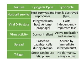 Feature Lysogenic Cycle Lytic Cycle
Host cell survival
Host survives and
reproduces
Host is destroyed
(lysis)
Viral DNA state
Integrated into
host genome
(prophage)
Exists
independently,
replicates fast
Virus activity Dormant, silent
Active replication
and assembly
Spread
Passed to
daughter cells
during division
Spread by
immediate
infection burst
Trigger
Stress can induce
lytic phase
No dormancy,
always active
 