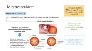 ¿En que edad es más
común?
Microvasculares
La retinopatía es la afección de la microvascularización retiniana.
RETINOPATÍA DIABÉTICA
Oftalmopatía diabética
La retinopatía diabética
(RD) es la segunda causa
de ceguera en el mundo
occidental
Más común en las
personas de edad
comprendidas entre 30 y
69 años.
¿Se considera la
complicación más
frecuente?
Es la complicación crónica
más frecuente que
presentan los diabéticos
 Duración de la diabetes
 Valores altos de hemoglobina
glucosilada (gravedad de la misma
 Elevación de la presión arterial
 Cifras elevadas de lípidos
 Diabéticas tipo 1, embarazo
Los factores que predicen el
empeoramiento de la evolución de la
retinopatía son la
 