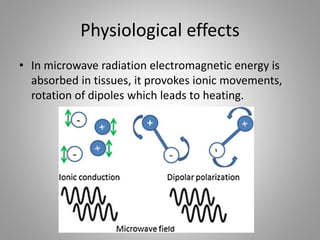 Physiological effects
• In microwave radiation electromagnetic energy is
absorbed in tissues, it provokes ionic movements,
rotation of dipoles which leads to heating.
 