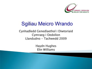 Sgiliau Meicro Wrando Cynhadledd Genedlaethol i Diwtoriaid Cymraeg i Oedolion Llandudno - Tachwedd 2009 Haydn Hughes Elin Williams 