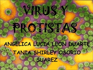 VIRUS Y PROTISTAS   ANGELICA LUCIA LEON DUARTE TANIA SHIRLEY OSORIO SUAREZ 