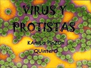 VIRUS Y PROTISTAS   KAmiLa PinZOn QUinterO 
