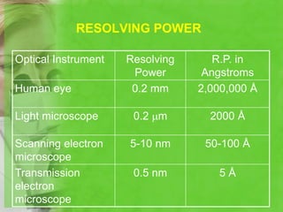 Microscopy and Types of Microscopes | PPTX