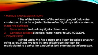 • MIRROR AND ILLUMINATION :
It lies at the lower end of the microscope just below the
condenser. It can be adjusted to the reflect light rays into condenser.
It has two surfaces
1. Plane surface:Natural day light – distant one.
2. Concave surface:Electrical lamp-nearer to MICROSCOPE.
• CONDENSOR:
is fitted under the fixed stage and it can be raised or lower
using screw.It has two lens iris and diaphragm that can be
manipulated to control the amount of light entering the microscope.
 